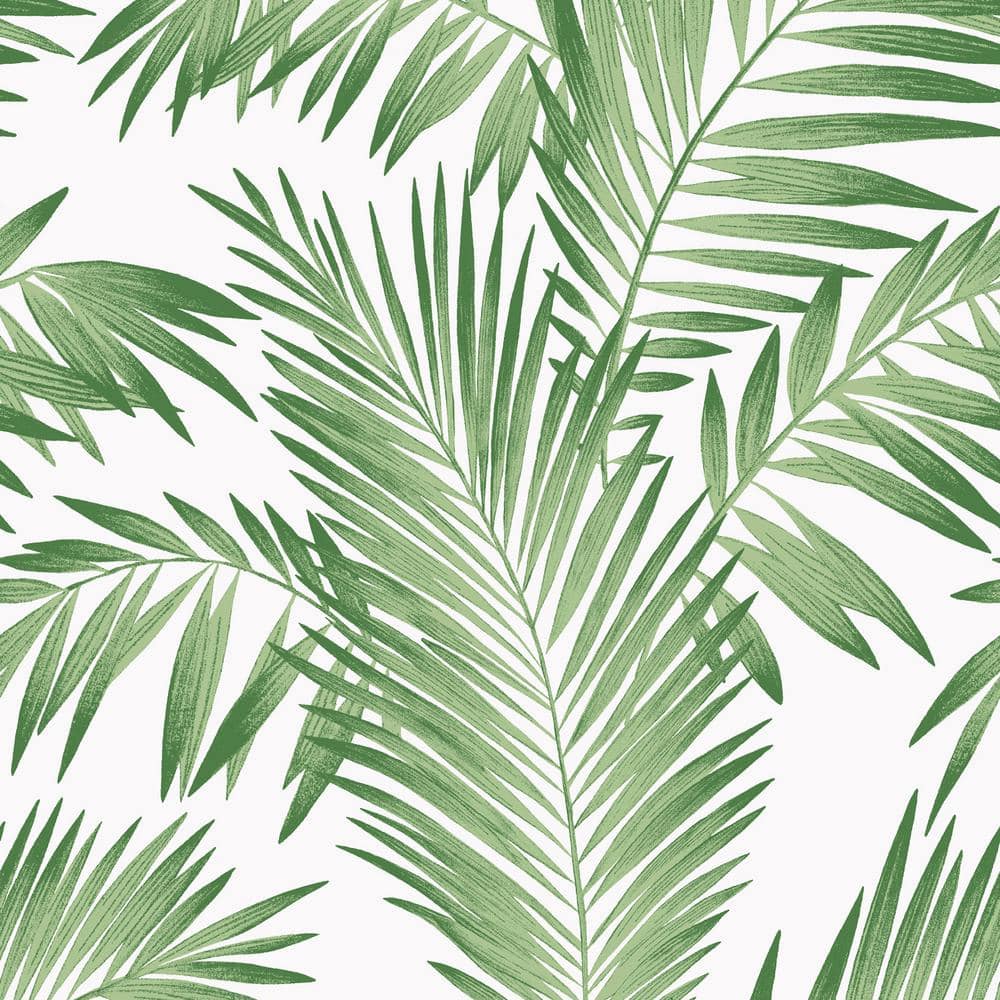 Arthouse Tropical Palm Paper Non-Pasted Wallpaper Roll (Covers 57 Sq ...