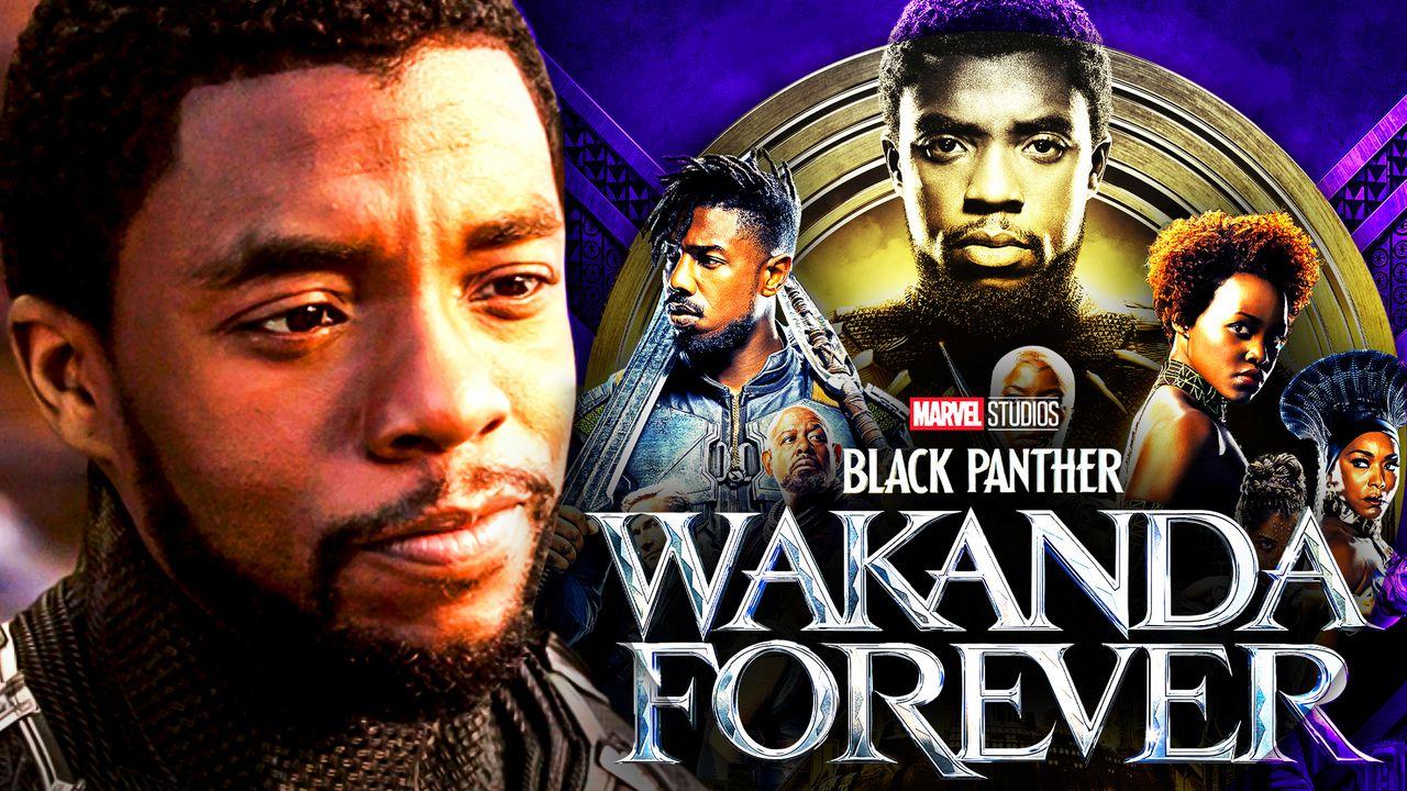 Black Panther Wakanda Forever Chadwick Boseman