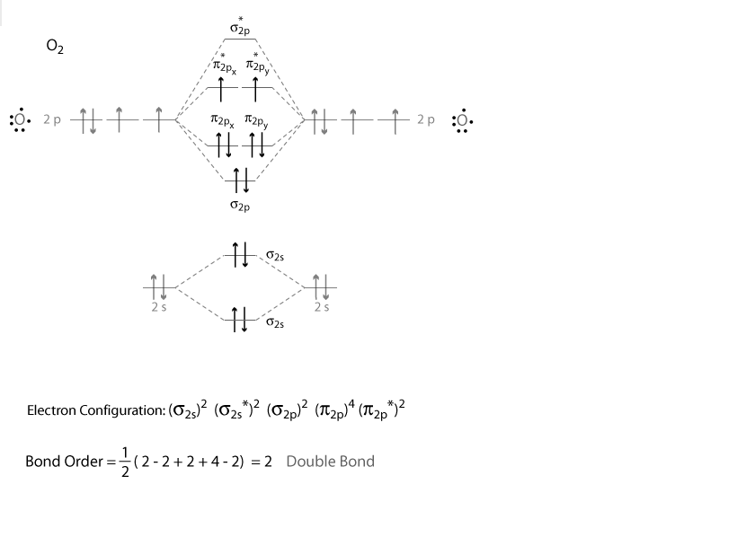 Why O2 is paramagnetic ,as its bond order =2. - 7rc5cekk