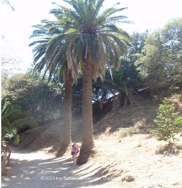 Runyon Canyon in Los Angeles, California