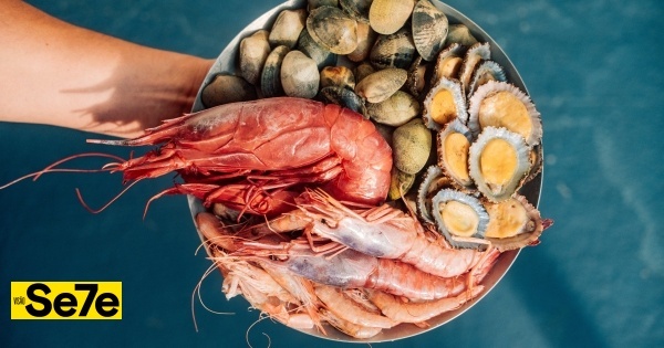 Prego de lavagante ou croquete de carabineiro? No Orla, o mar trabalha-se com criatividade