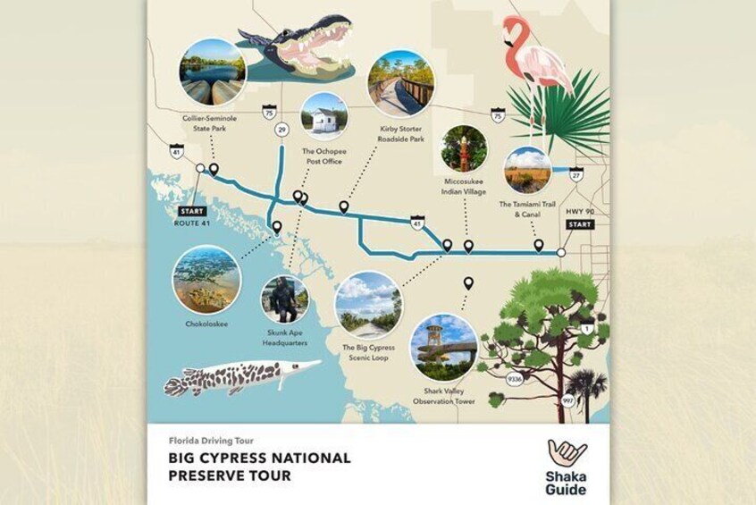 Big Cypress National Preserve