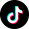 TikTok Brand Logo