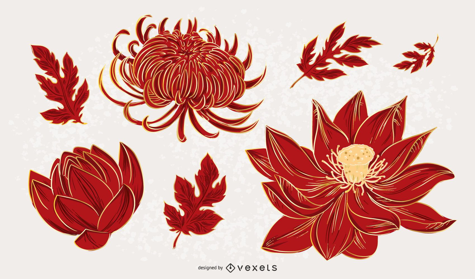 Chinese Flower Illustration Design Set