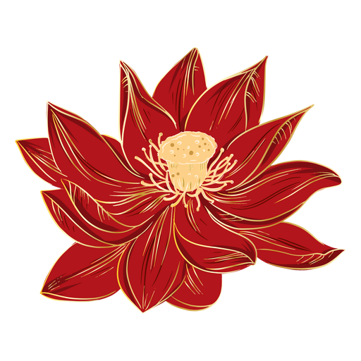 Chinese hibiscus flowers PNG Design