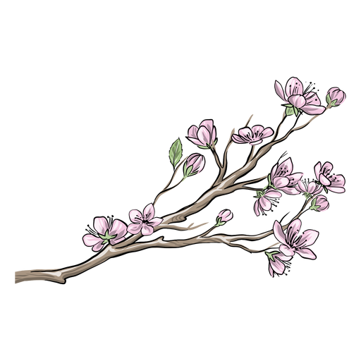 Chinese pink flowers PNG Design