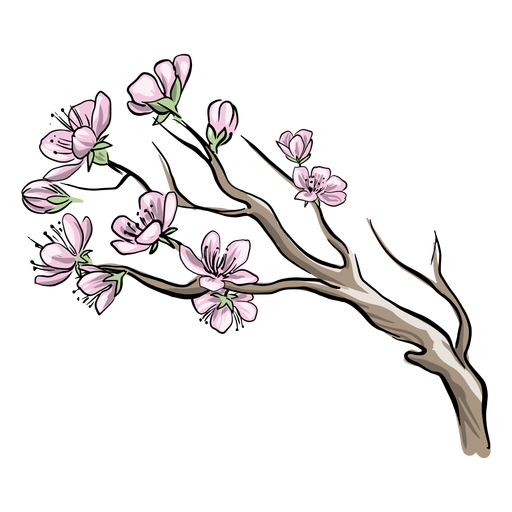 Chinese plum flowers PNG Design