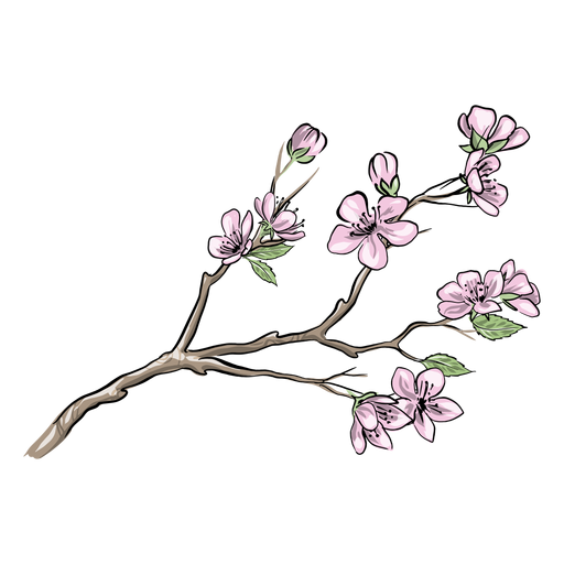 Pretty chinese plum flowers PNG Design