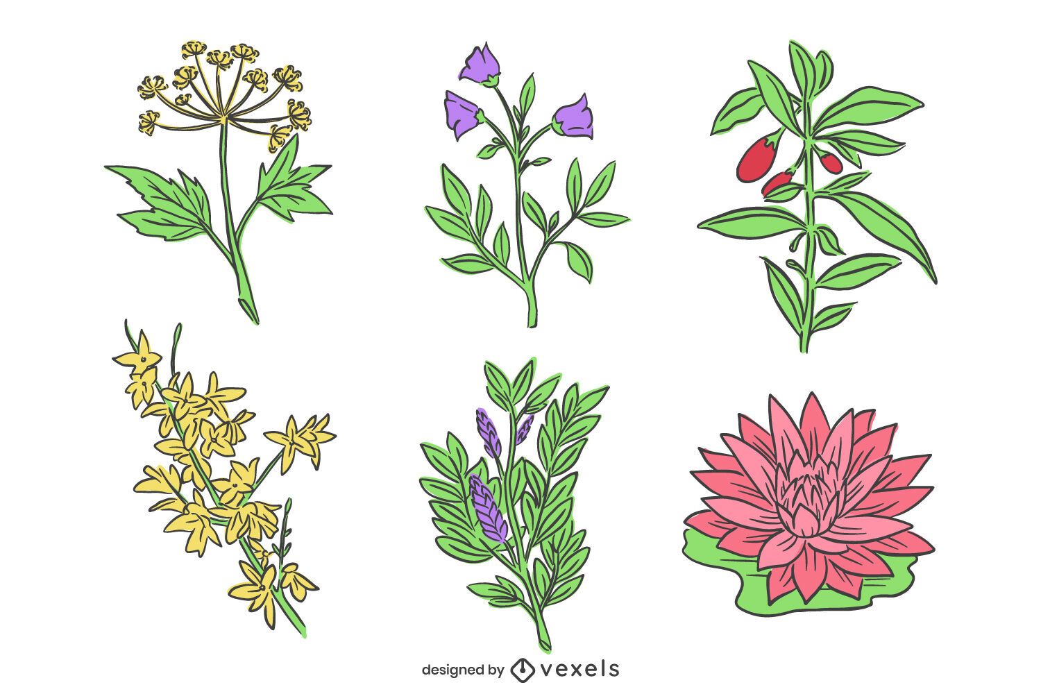 Hand Drawn Chinese Flower Pack