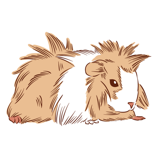 Guinea pig pet animals PNG Design