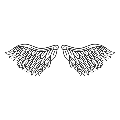 Wings PNG Designs for T Shirt & Merch