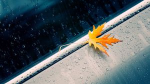 Preview wallpaper macro, autumn, leaf, yellow, drop, car