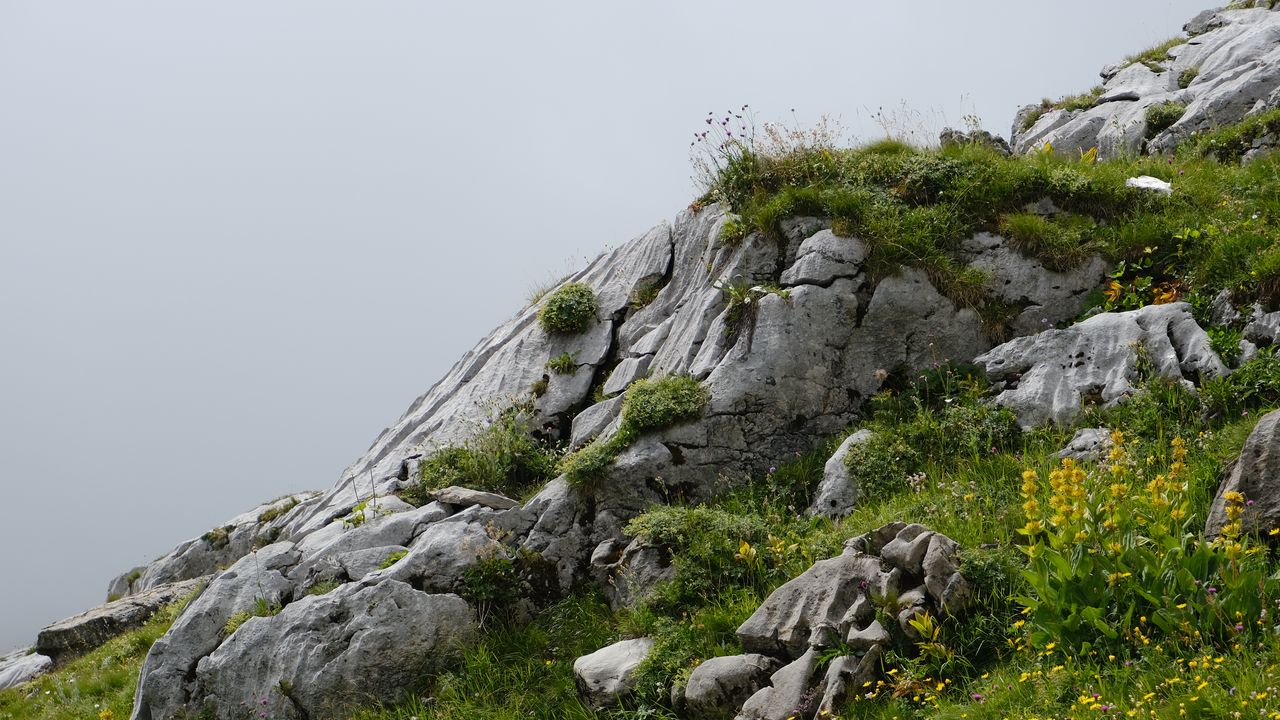 Wallpaper mountain, stones, grass, nature