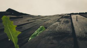 Preview wallpaper surface, wooden, macro