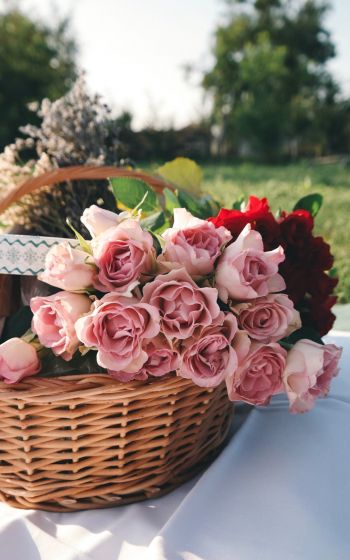 flowers, cart, roses, picnic Wallpaper 1200x1920