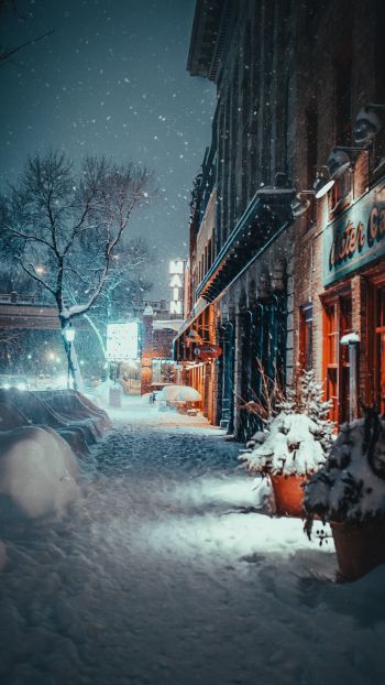 street, snowfall, winter Wallpaper 750x1334