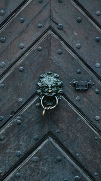 Nuremberg, Germany, wooden gate Wallpaper 750x1334