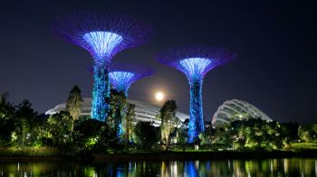 Gardens by the Bay, Singapore Wallpaper 3840x2160