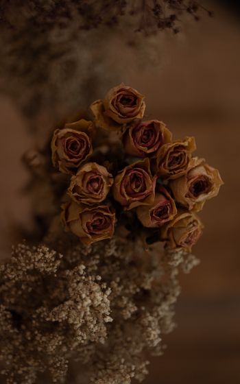 rose bouquet Wallpaper 1200x1920