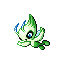 Celebi RZ.png