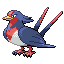 Swellow