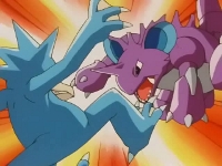 EP196 Nidoking y Golduck.jpg