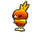 Torchic