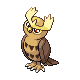 Noctowl