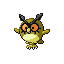 Hoothoot RZ.png