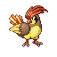 Pidgeotto RZ.png