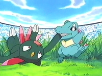 Totodile usando mordisco.