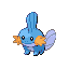 Mudkip RZ.png