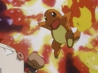 Charmander usando furia.