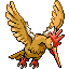 Fearow RZ.png