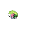 Shaymin NB.png