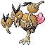 Dodrio RZ.png