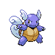 Imagen de Wartortle macho o hembra en Pokémon Oro HeartGold y Plata SoulSilver