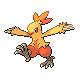 Combusken Pt hembra.png