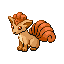 Vulpix RZ.png