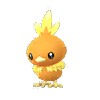 Torchic