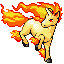 Rapidash RZ.png