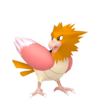 Spearow