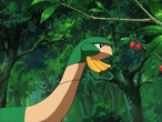 Imagen de Tropius