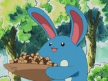 Imagen de Azumarill