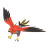 Talonflame