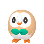 Rowlet macho