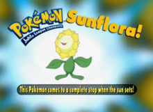 Sunflora