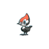 Pikipek