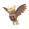 Noctowl