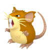 Raticate